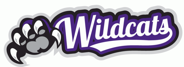Weber State Wildcats 2012-Pres Misc Logo diy iron on heat transfer